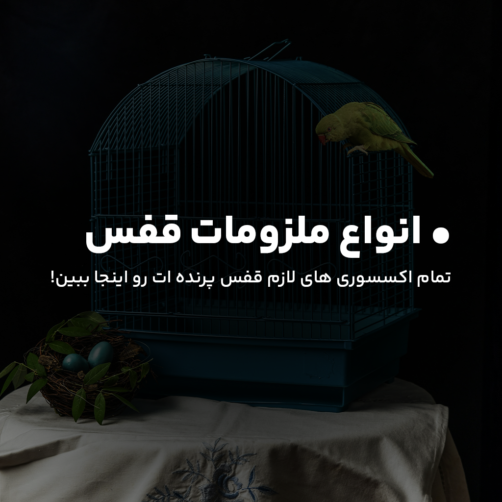 ملزومات